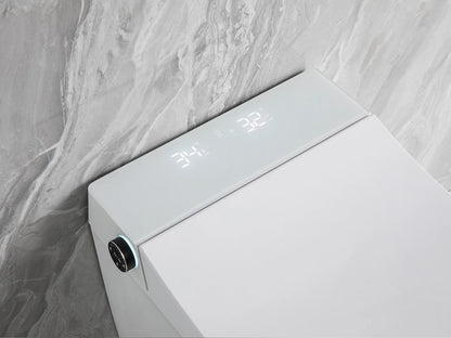 Hangend rimless toilet met reservoir - Bidet - Oakland