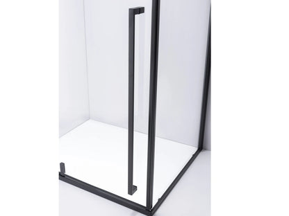 Douchecabine - Nevada Mat zwart - 80x100x200cm