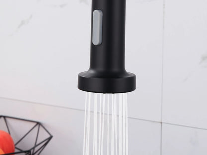 Keukenkraan - Uitneembare uitloop - Inula Mat zwart - 63cm