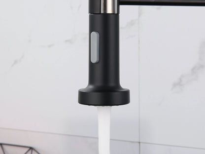 Keukenkraan - Uitneembare uitloop - Inula Mat zwart - 63cm