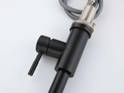 Keukenkraan - Uitneembare uitloop - Inula Mat zwart - 63cm